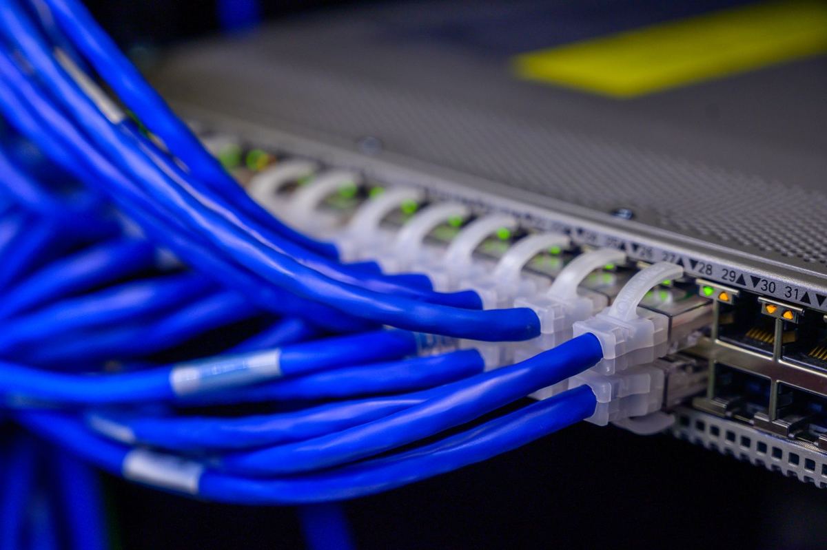 Organised blue network cables representing structured data flow